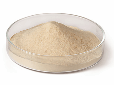 potato dextrose agar (pda)