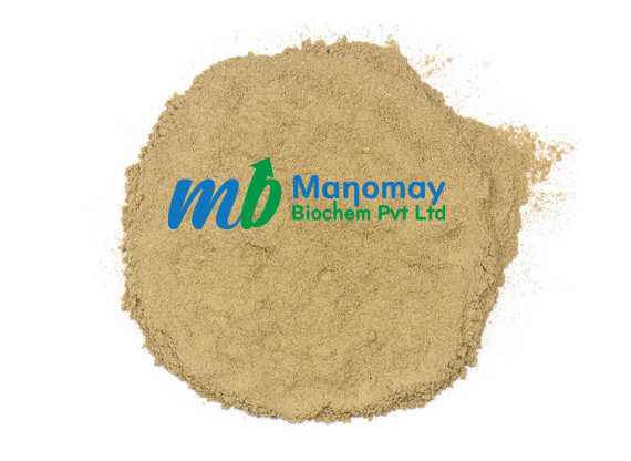 yucca powder yucca powder