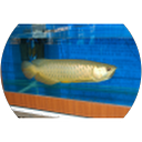 Testimonials Ganapathy Anantha Narayanan profile picture
