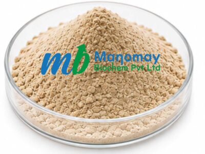 soy sauce powder